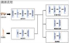 豬肉溯源系統軟件設計與開發解決方案 構筑食品安全數字防線